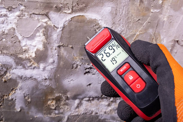 Best Water Damage Restoration  in Rusk, TX