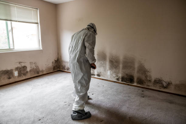 Best Best Mold Removal Companies  in Rusk, TX